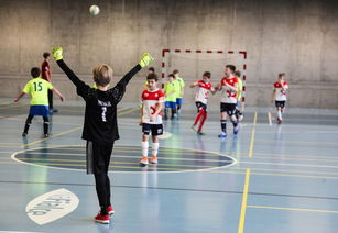 开云在线直播-中国篮球运动员伤病康复管理体系，篮球运动员常见损伤种类